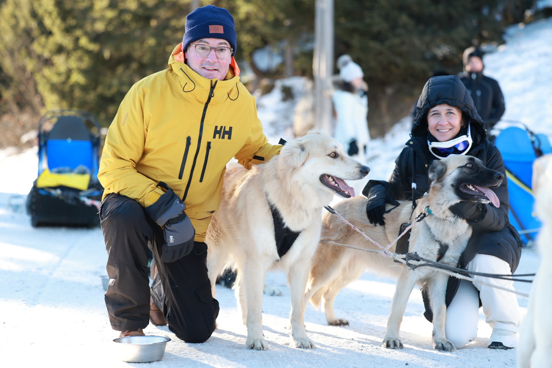 Dog sledding in Courchevel